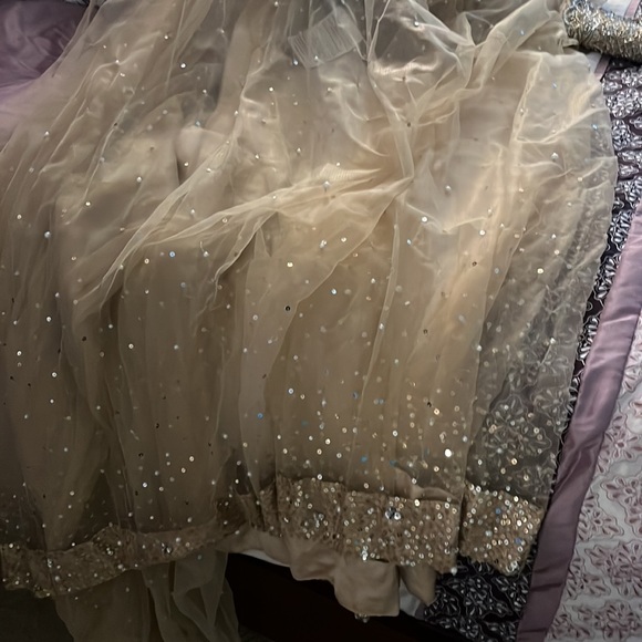 Kanwal Malik sari - Picture 3 of 4